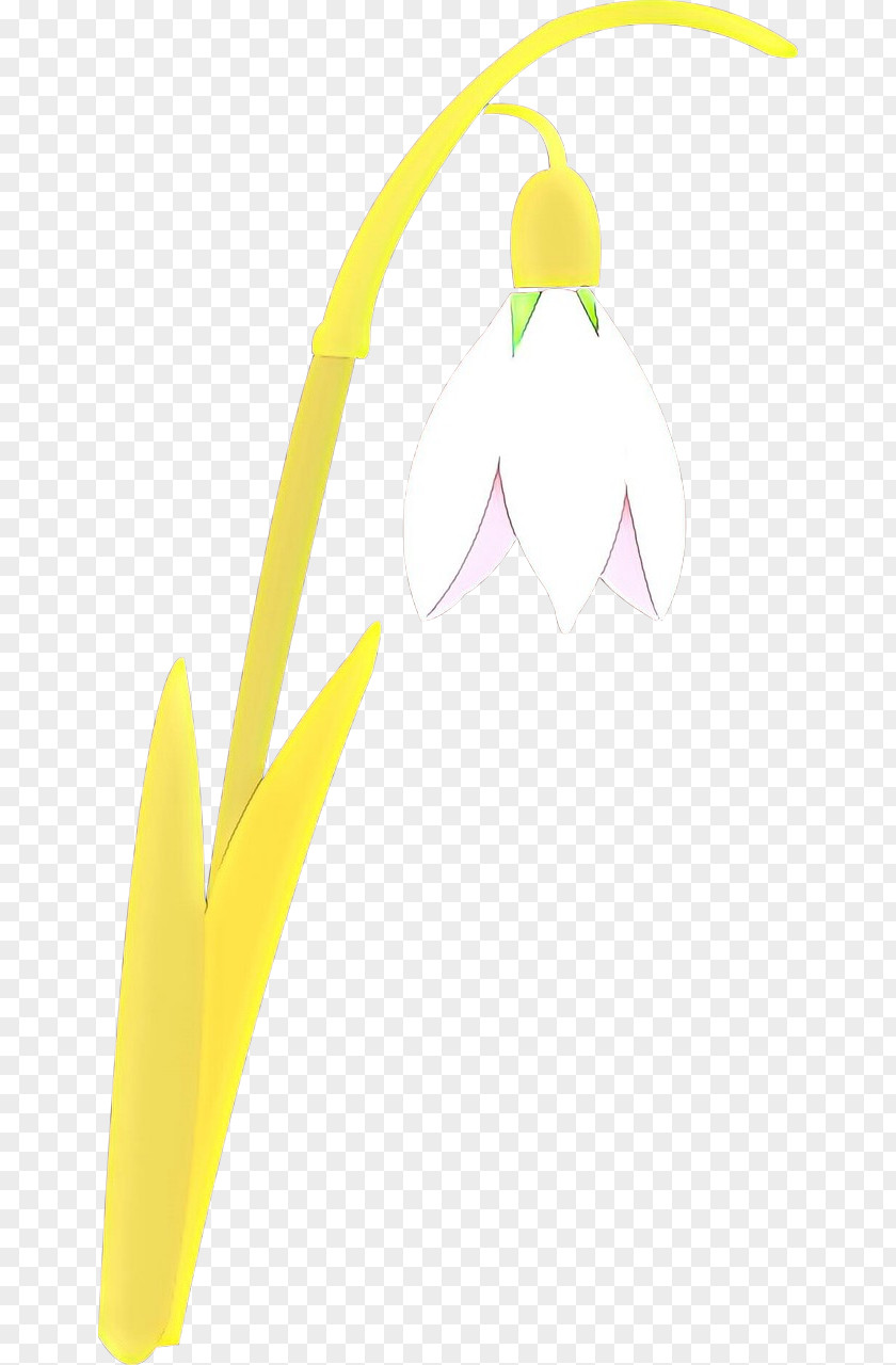 Smile Plant Yellow Clip Art PNG