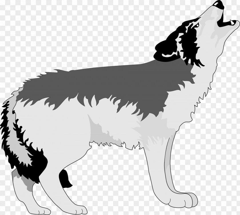 Wolf Gray Aullido Drawing Clip Art PNG