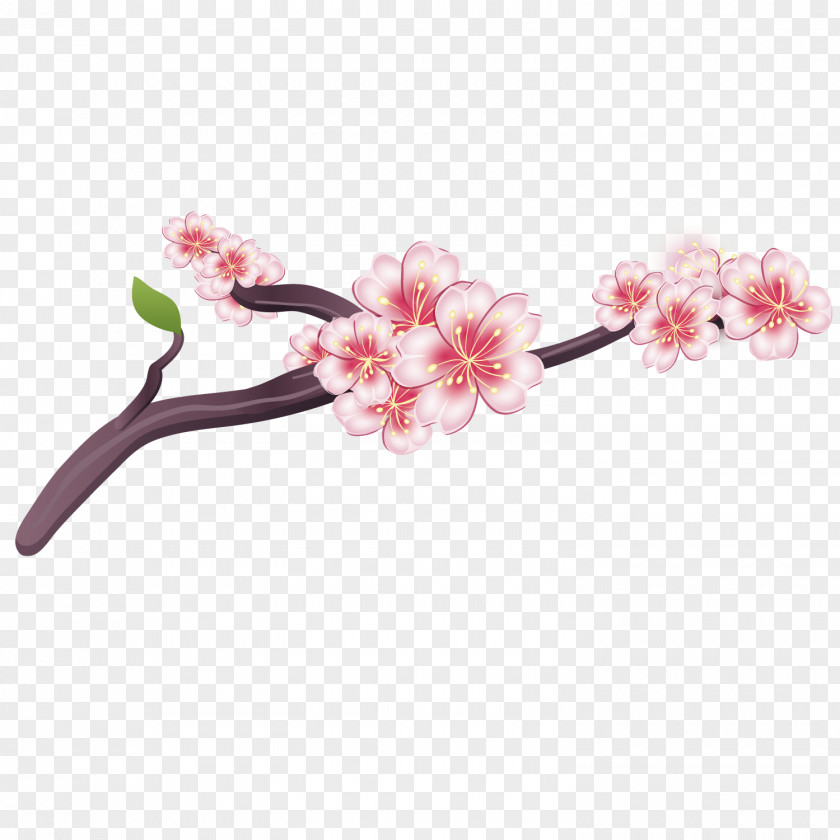 Exquisite Plum Blossom National Cherry Festival PNG