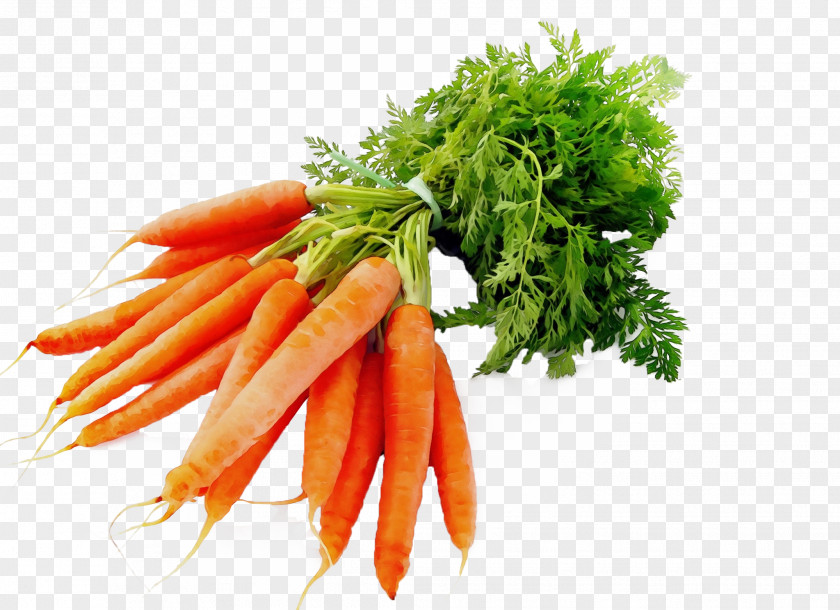 Wild Carrot Ingredient Vegetable Food Root Plant PNG