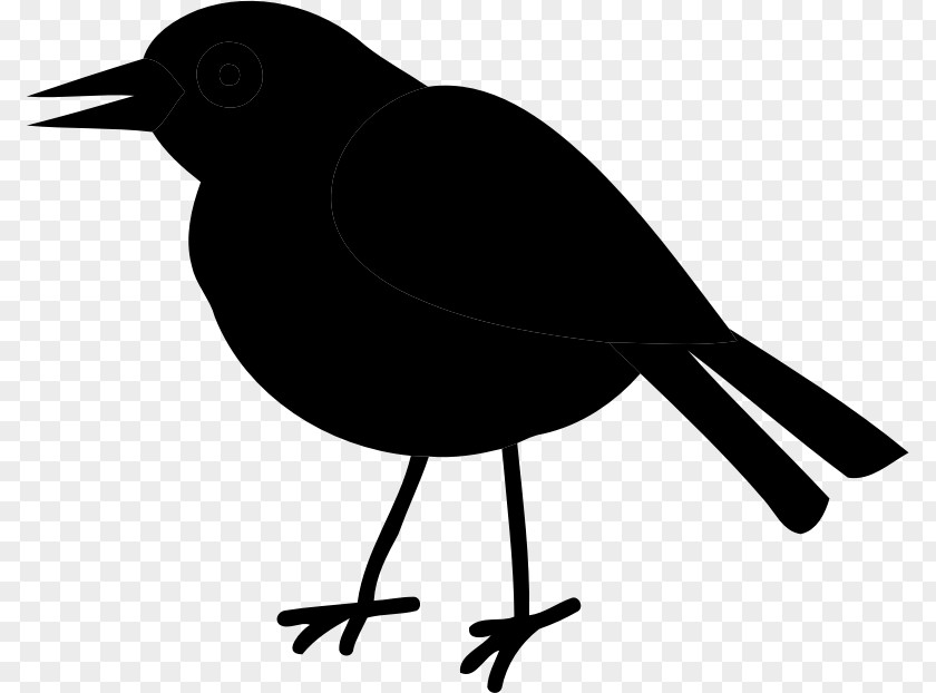 American Crow Clip Art Common Raven Fauna Silhouette PNG