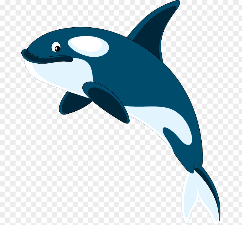 Common Bottlenose Dolphin Killer Whale Swimming Pool PNG
