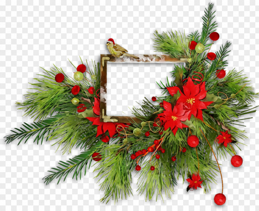 Conifer Pine Christmas Decoration PNG