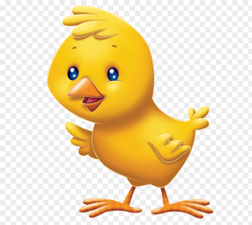 Duck Chicken Easter Egg PNG