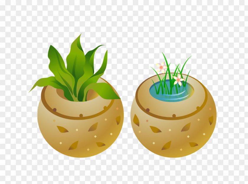 Flowerpot Drawing Vector Graphics Vase Crock PNG