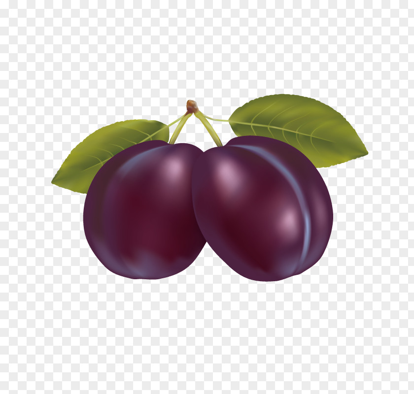 Fruit,Plum Royalty-free Photography Clip Art PNG