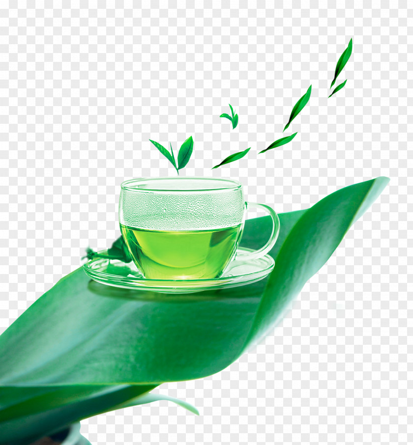 Green Tea White Cup PNG