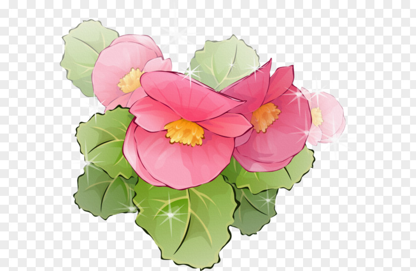 Hand-painted Lotus Picture Frame Flowerpot Floral Design Clip Art PNG