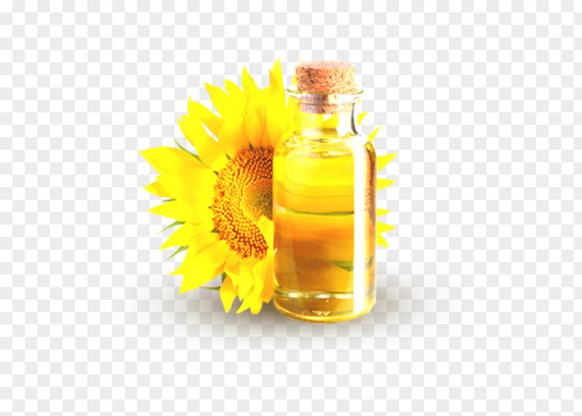 Sunflower Oil Common Seed Carrier PNG