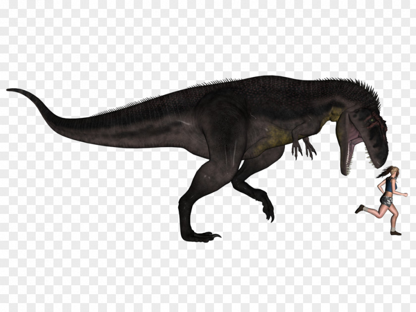 Tyrannosaurus Tyrannotitan Giganotosaurus Mapusaurus Sauroniops PNG