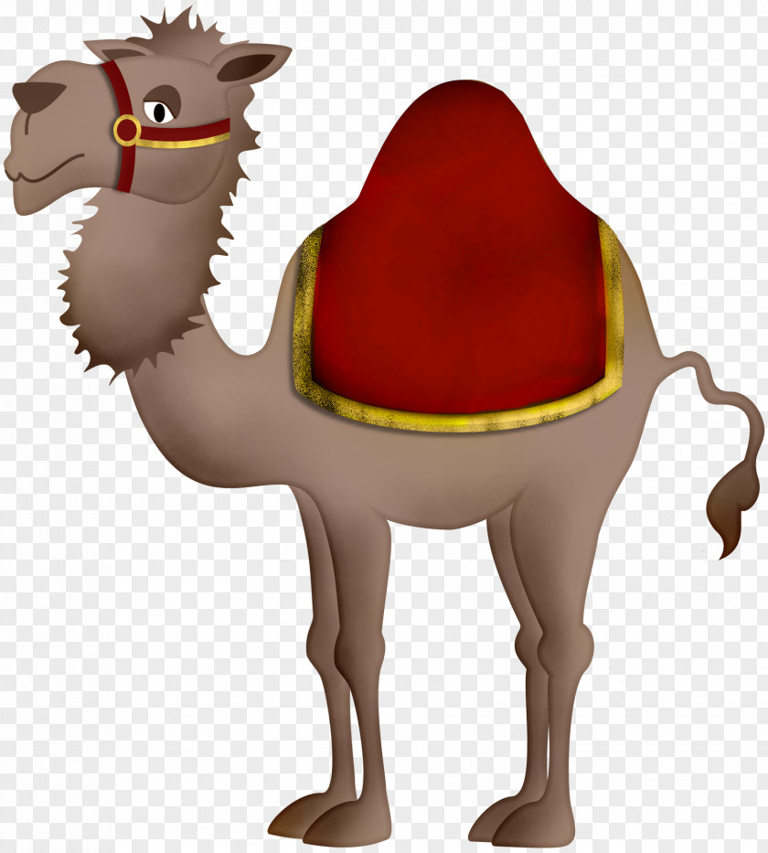 Camel Bactrian Clip Art PNG