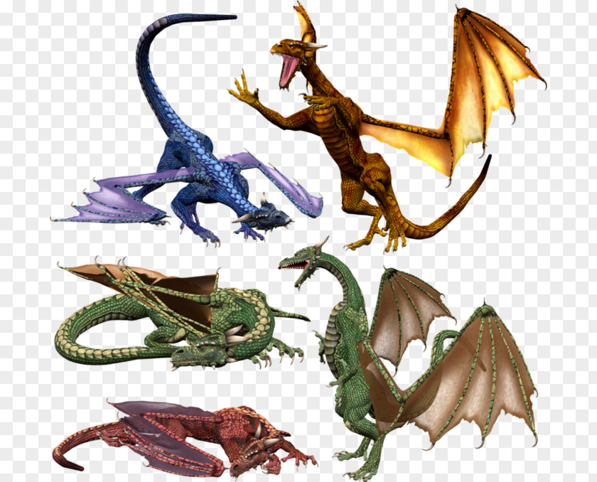 Dragon Stock Photography Royalty-free PNG