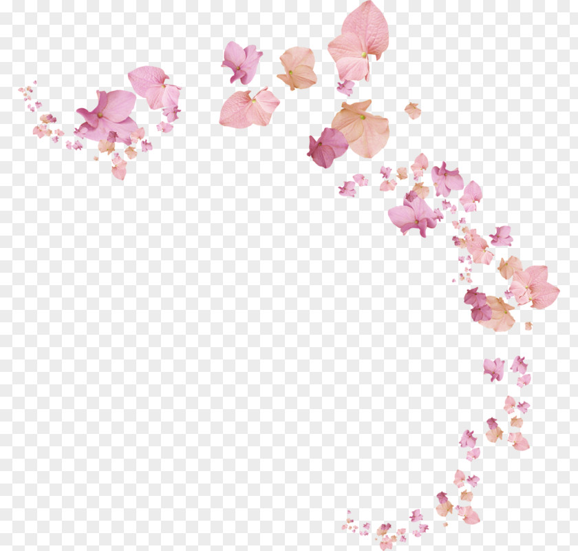 The Flower Petals Clip Art Adobe Photoshop Image PNG