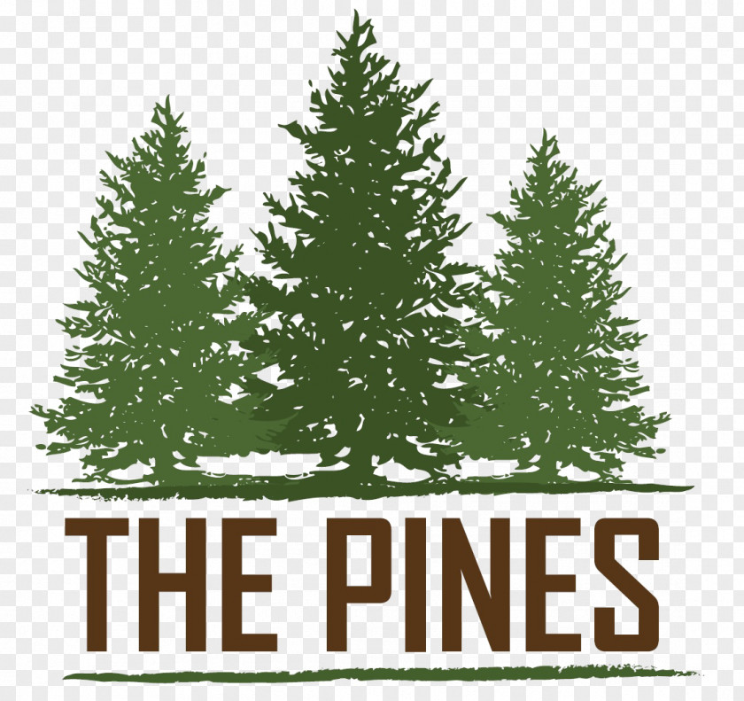 Beautiful Country The Pines At Rapid City Kitchen LaCrosse Estates Apartments House PNG