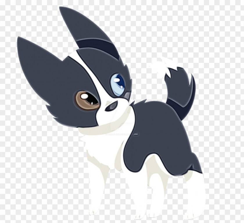 Border Collie PNG