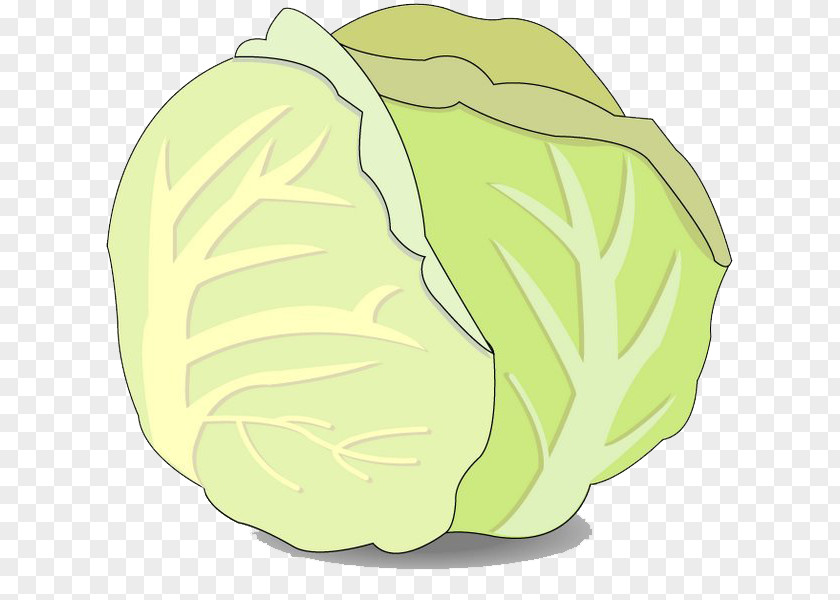 Cartoon Cabbage Chemical Element Clip Art PNG