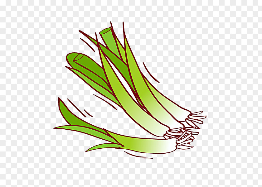 Garlic Clip Art PNG