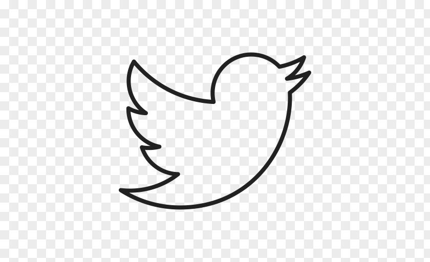 Hummingbird Logo Social Media PNG