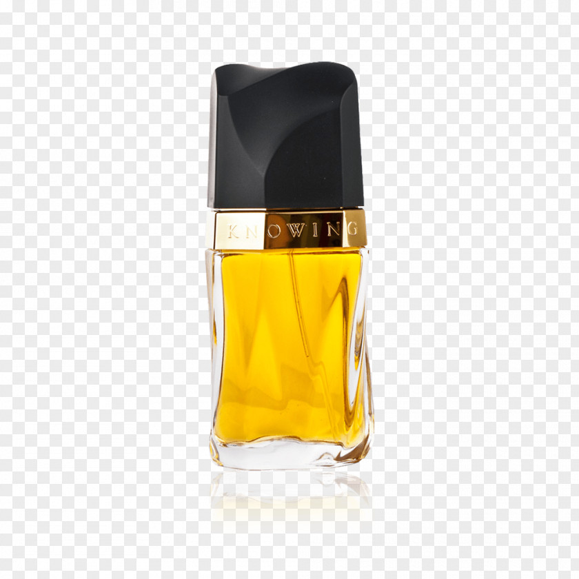 Perfume Estée Lauder Companies Eau De Parfum Acqua Di Giò Cosmetics PNG