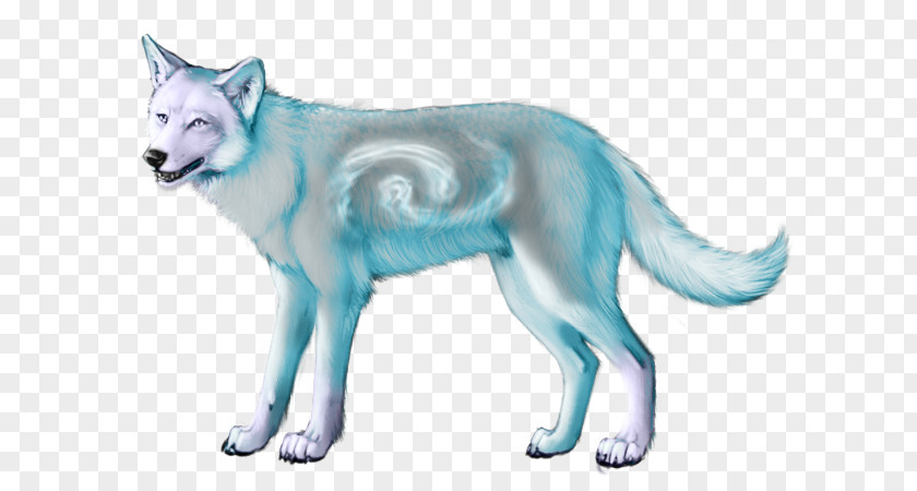 Water Fire Wolf Backgrounds Alaskan Tundra Dog Vertebrate Mammal Drawing PNG