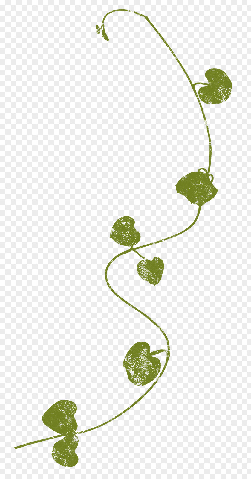 (3) Leaf Plant Stem Clip Art PNG