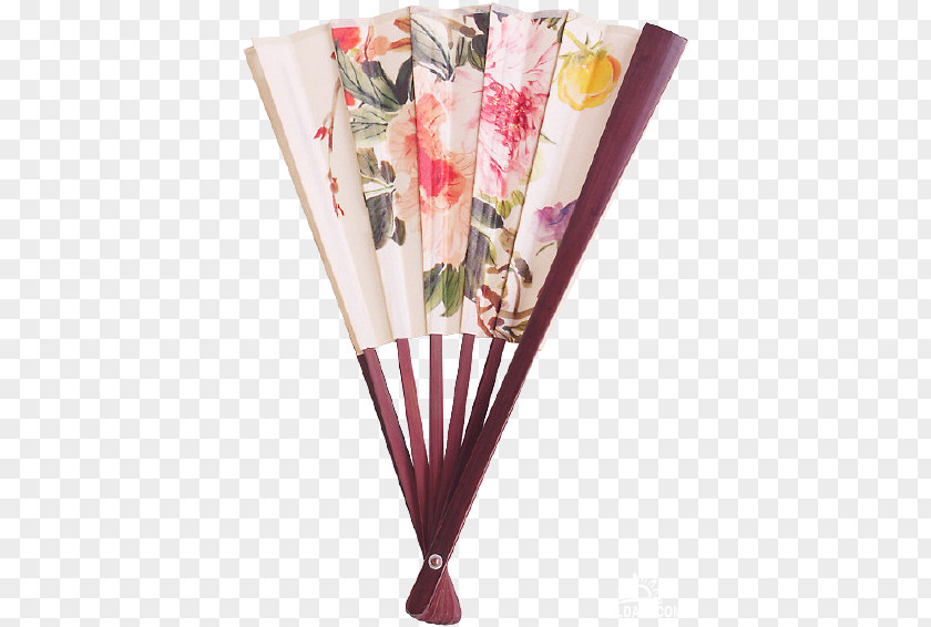 Animated Film Hand Fan Blog PNG