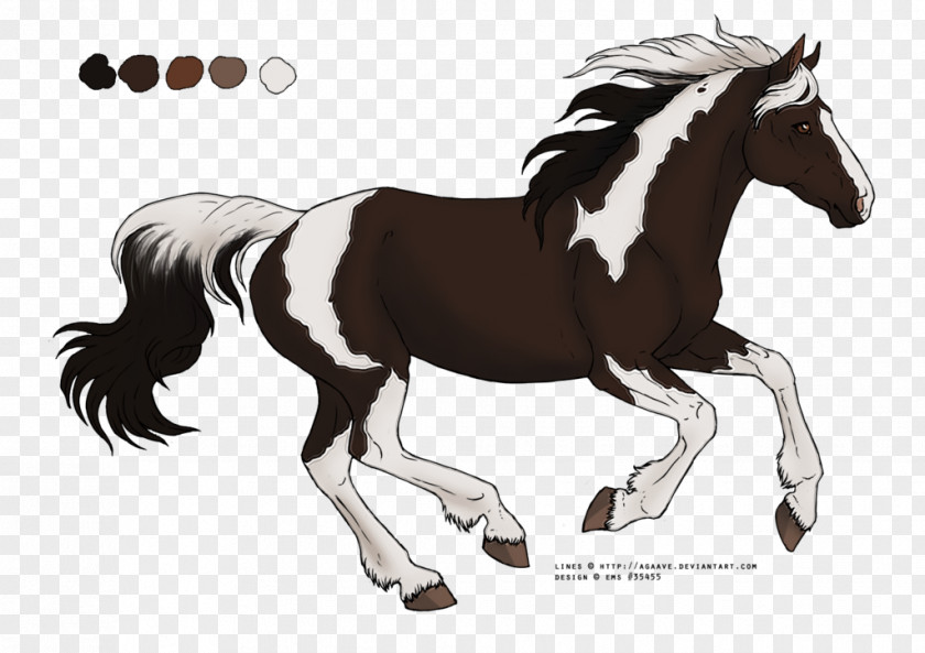 Black Horse Logo Mustang Foal American Paint Pony Stallion PNG