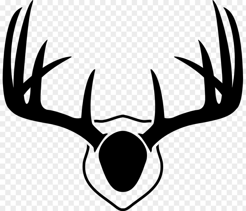 Deer Line Art Horn Head Antler Eye Snout PNG