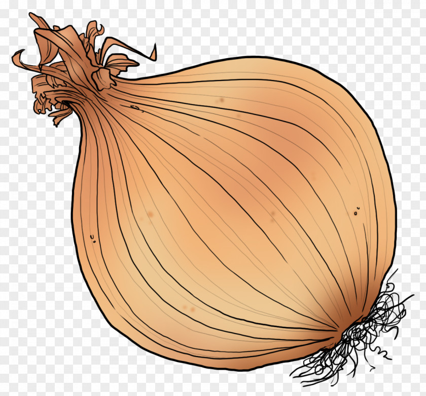 Onion Paella Chicken Food Vegetable PNG