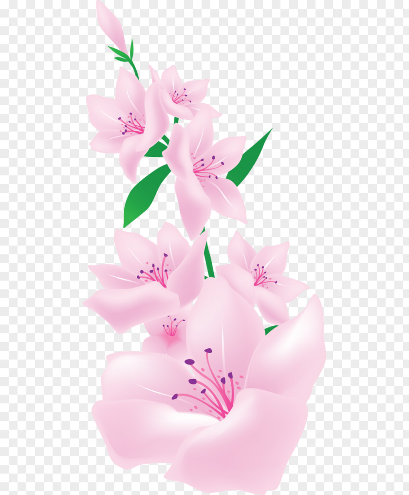 Painting Pink Flowers Floral Design Clip Art PNG