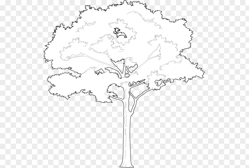 Tree 2D /m/02csf Floral Design Line Art Drawing PNG