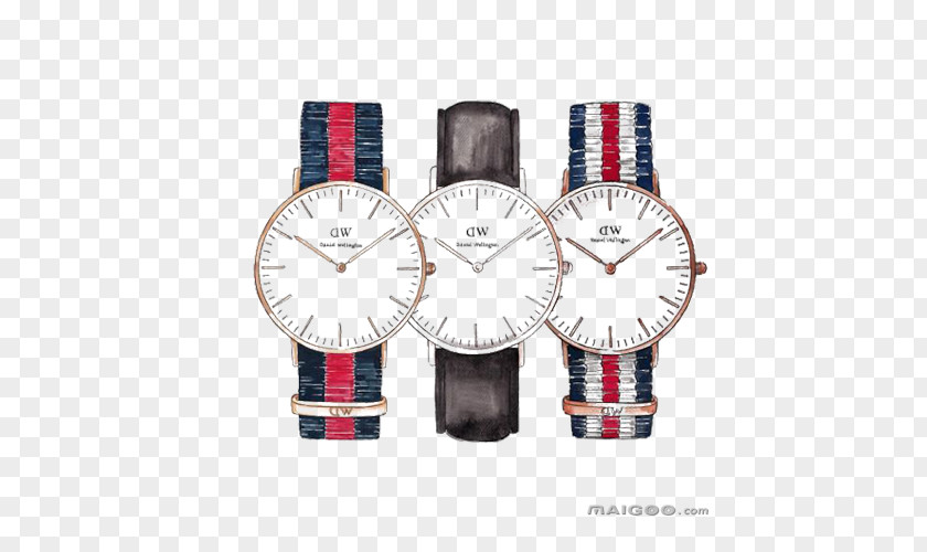 Watch Strap Daniel Wellington Drawing Sketch PNG