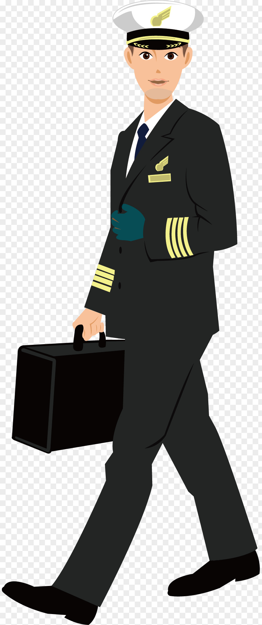 Airplane Flight Attendant Pilot In Command PNG