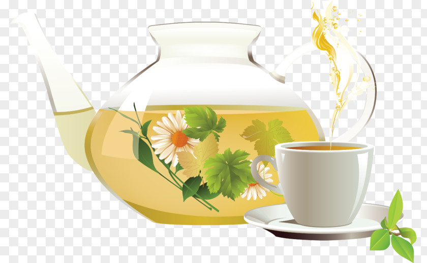 Tea Flowering Green Chrysanthemum Clip Art PNG