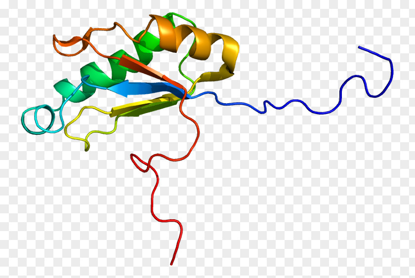 Wikipedia HIV Tat HTATSF1 Gene Clip Art PNG