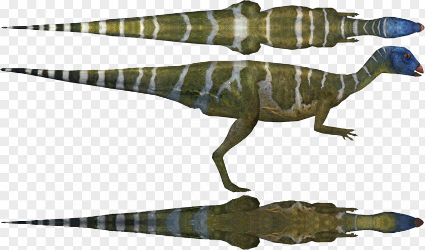 Dinosaur Tyrannosaurus Othnielia Zoo Tycoon 2 Diplodocus Leaellynasaura PNG