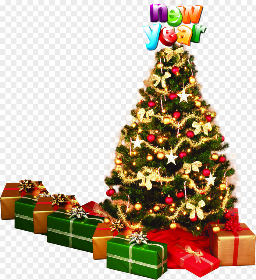 Dress Up Christmas Tree Santa Claus Ornament Fir PNG