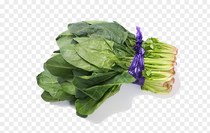 Fresh Vegetables Spinach Vegetable Komatsuna Romaine Lettuce Chard PNG