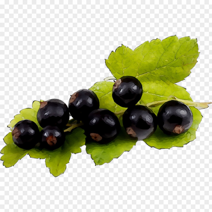 Gooseberry Zante Currant Blueberry Bilberry Huckleberry PNG