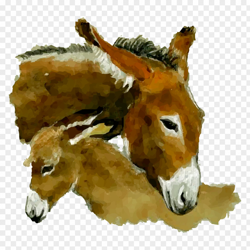 Hand Painted Watercolor Donkey Head Painting PNG