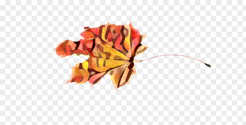 Plane Flower Maple Tree PNG