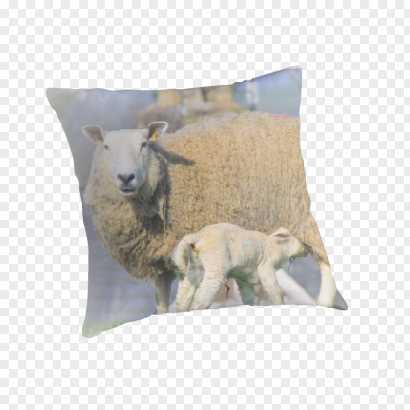 Sheep Throw Pillows Cushion Goat PNG