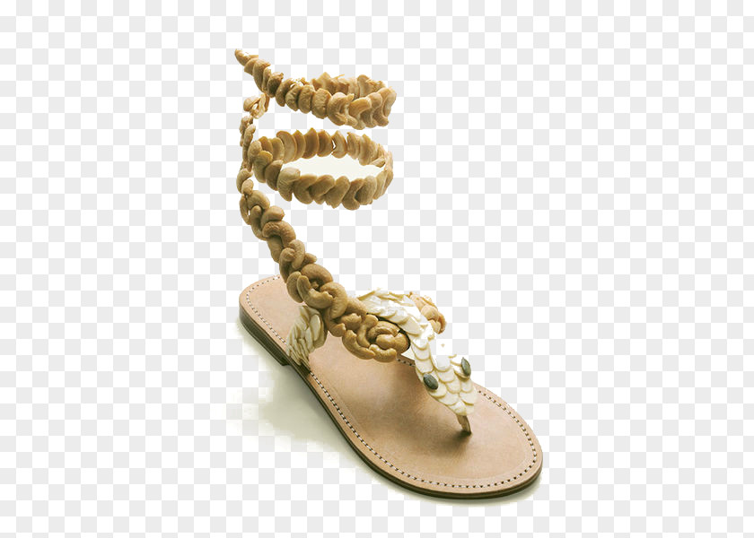 Strap Sandals Photographer Food Fashion Accessory Fruit PNG