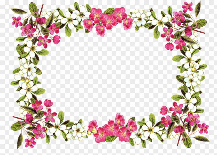 Amulet Border Flowers Picture Frames Clip Art PNG