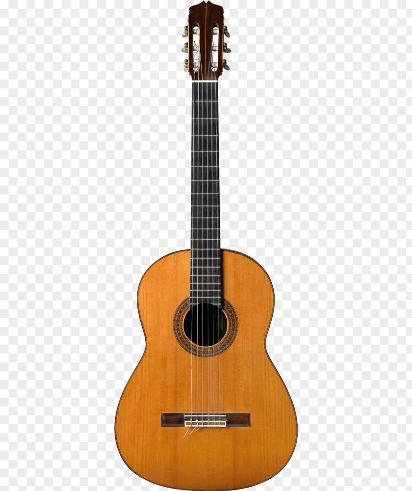 Acoustic Guitar Steel-string C. F. Martin & Company Classical Parlor PNG