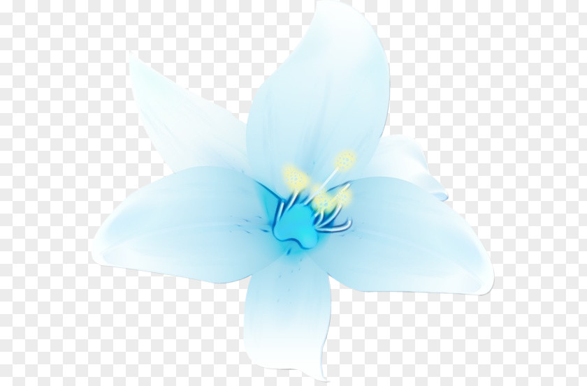 Iris Morning Glory Blue Petal White Flower Plant PNG