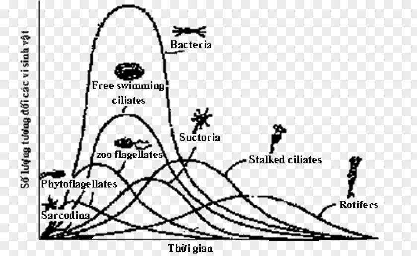 Microorganism Instalasi Pengolahan Air Limbah Biology Wastewater Biochemical Oxygen Demand PNG