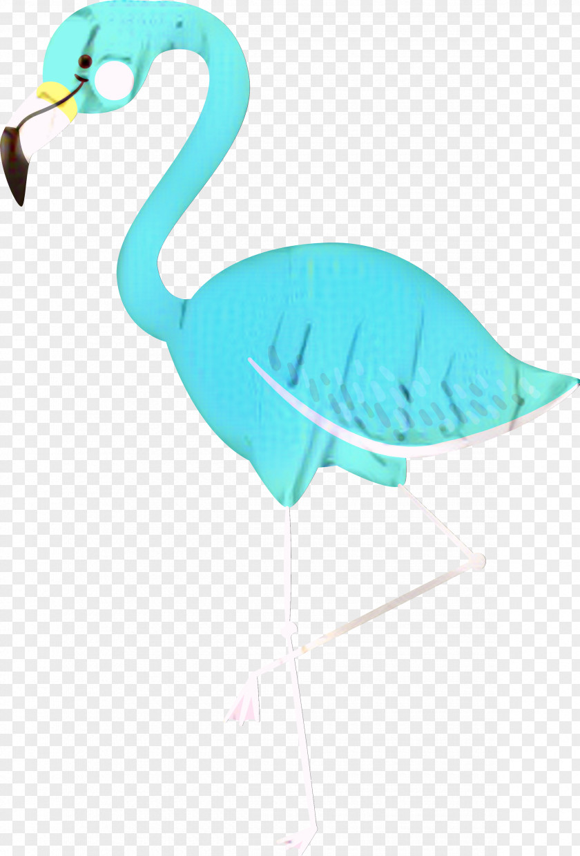 Swans Goose Duck Water Bird PNG