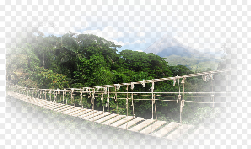 Travel Monteverde Desktop Wallpaper PNG