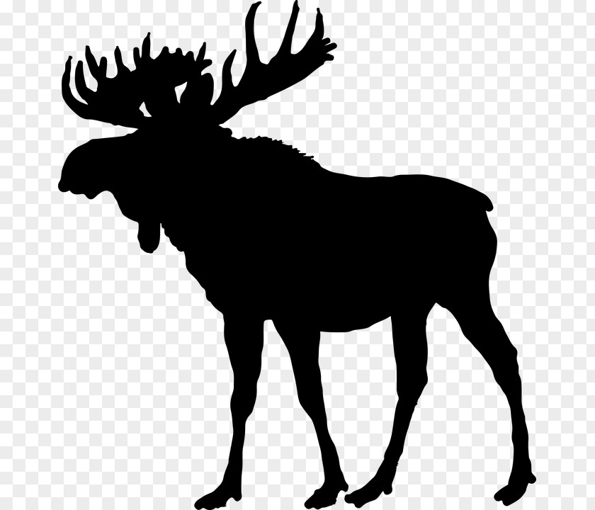 Tier Moose Deer Silhouette PNG